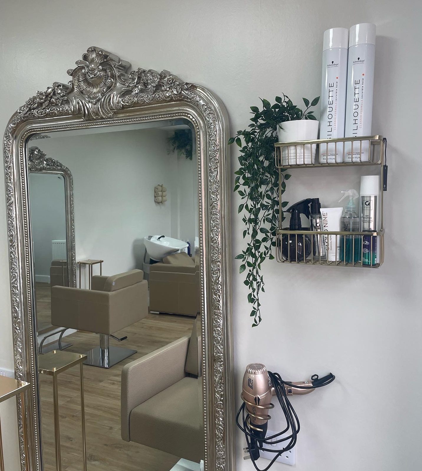An ornate silver mirror beside a shelf of hair products and plants
